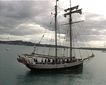 NZ Segeltörn in Russel